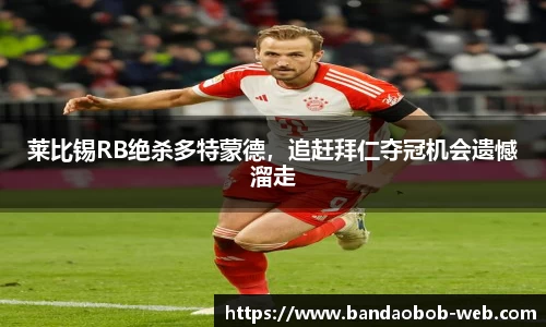BOB半岛